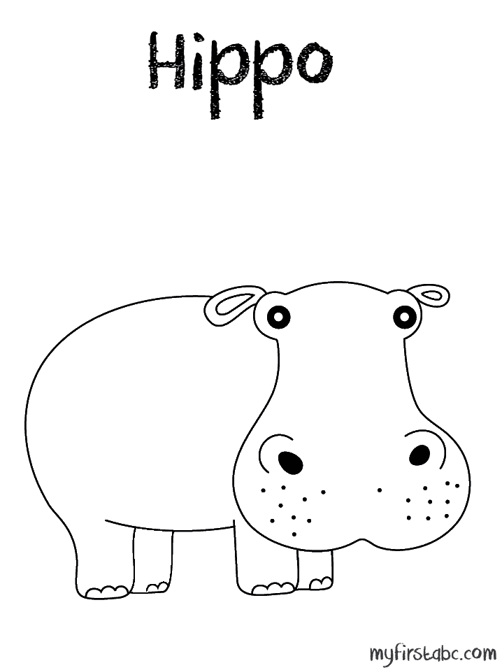 Hippo Coloring Printable Cute