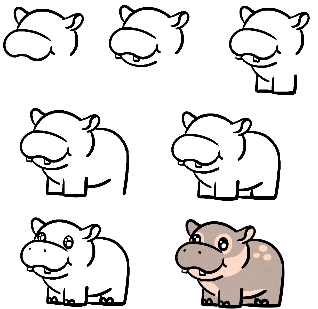 How To Draw A Hippo - 7 Simple Steps To Create A Cute Hippo Drawing