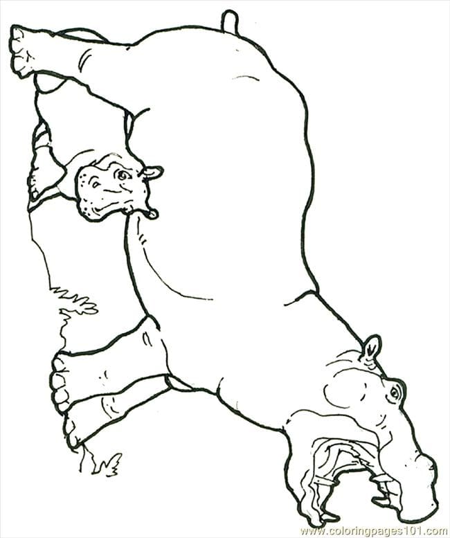 Hippo Family Happy Coloring Page