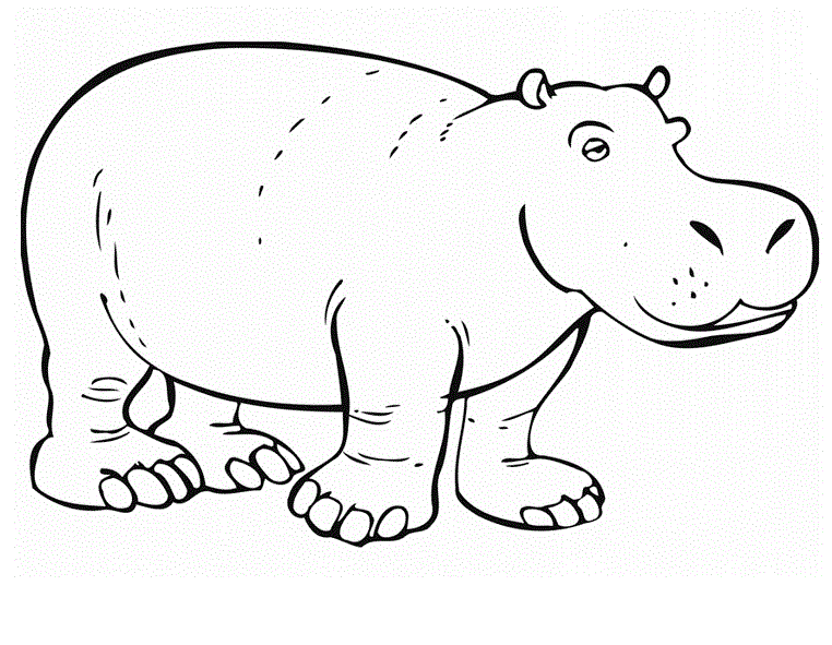 Hippo Free Picture Coloring Page