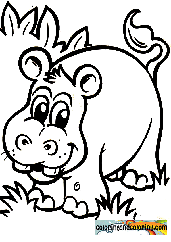 Hippo Free Coloring Page