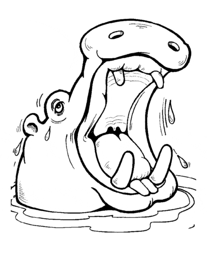 Hippo Head Free Coloring Page