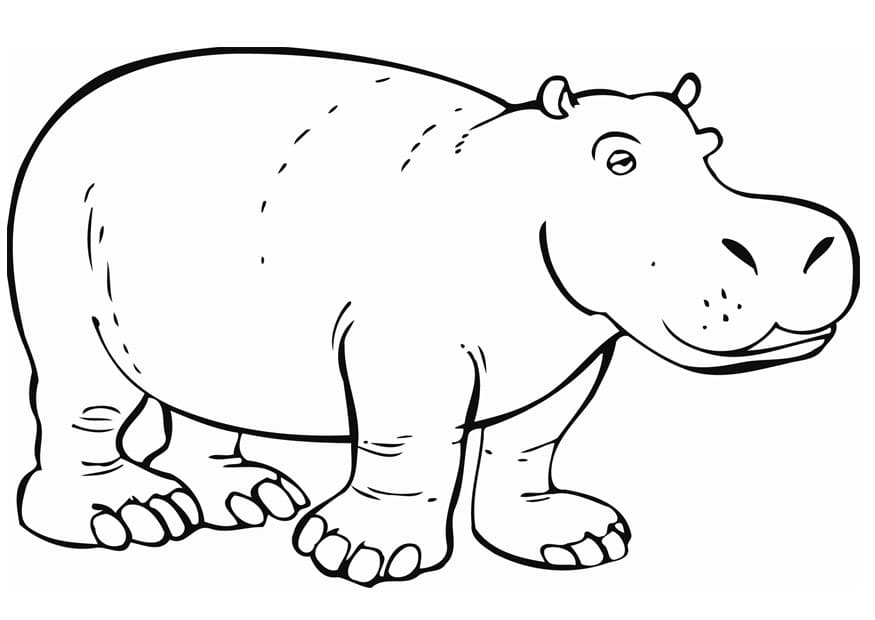 Hippo Printable Coloring Page