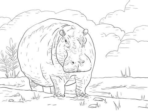 Hippo at Dawn Free Coloring Page