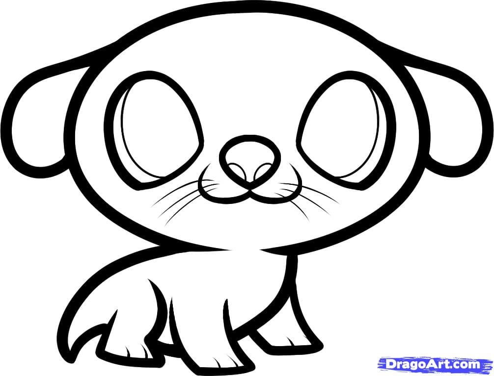 How To Draw A Sea Otter Step By Step for Kids Coloring Page