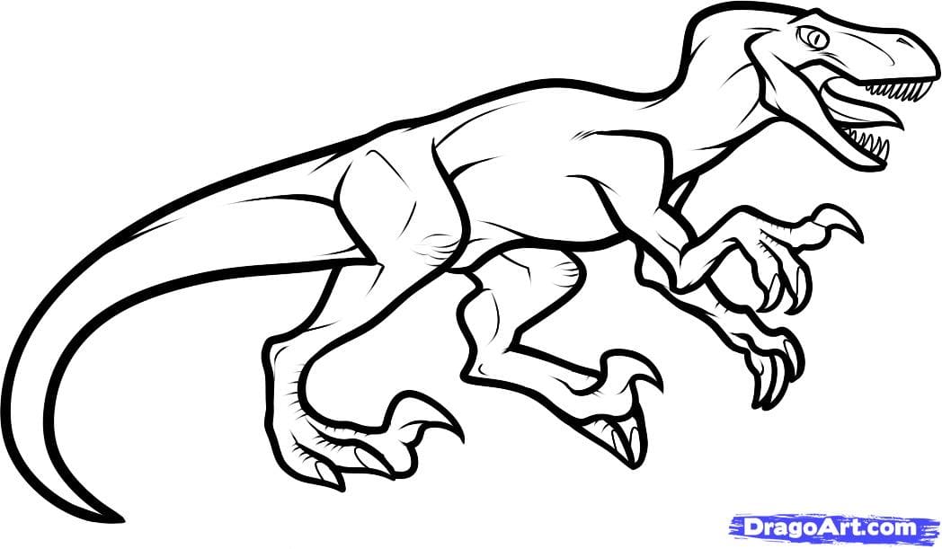 How to Draw a Velociraptor Dinosaur Free Coloring Page