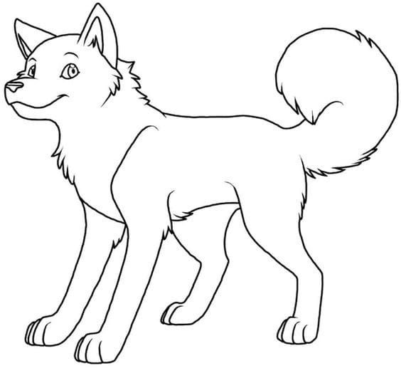 Husky Coloring To Print Coloring Page