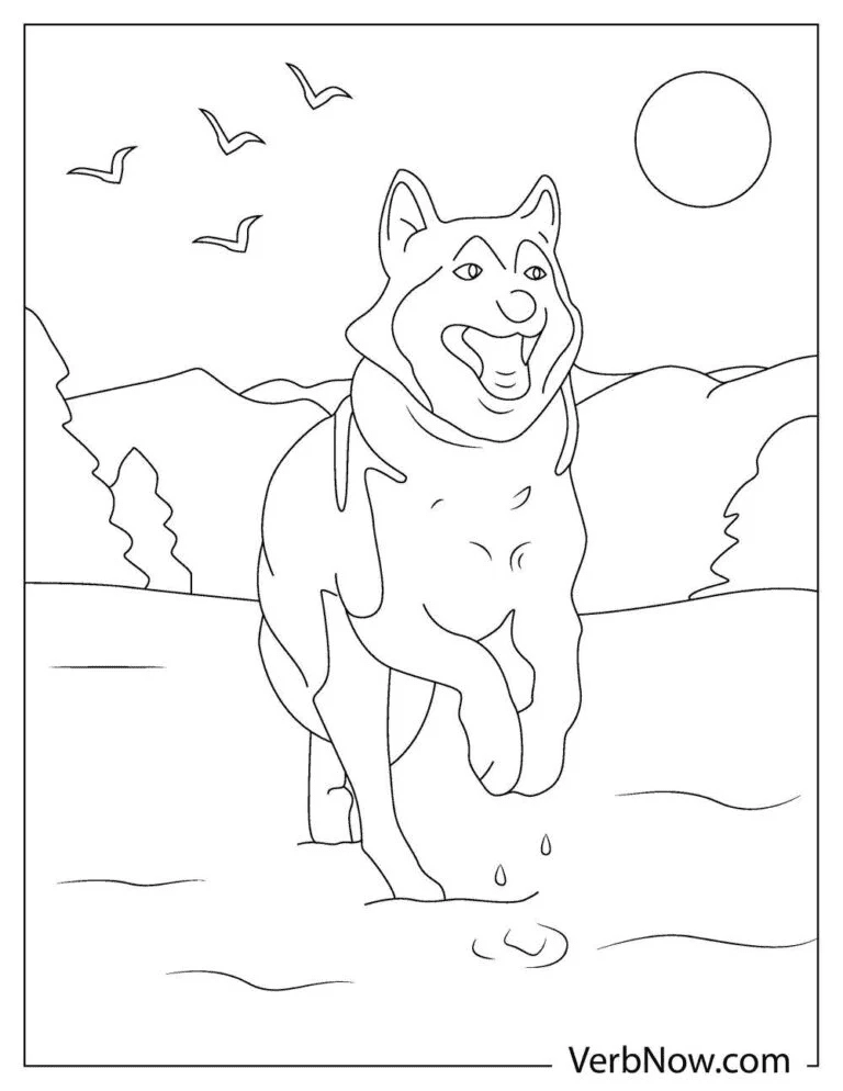 Husky Cute Free Coloring Page