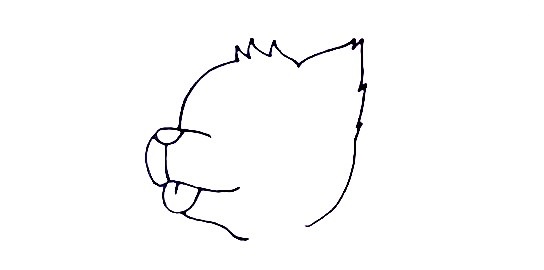Husky-Drawing-1