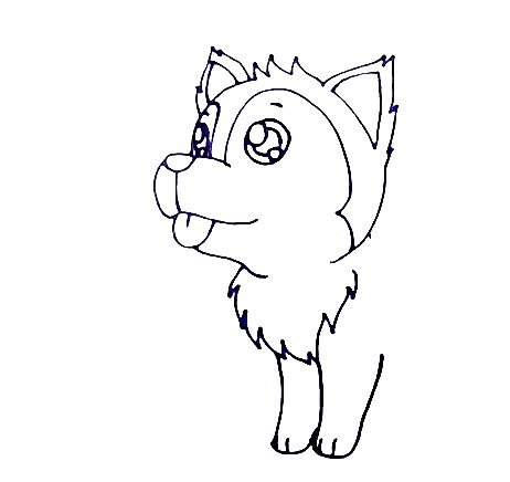Husky-Drawing-3