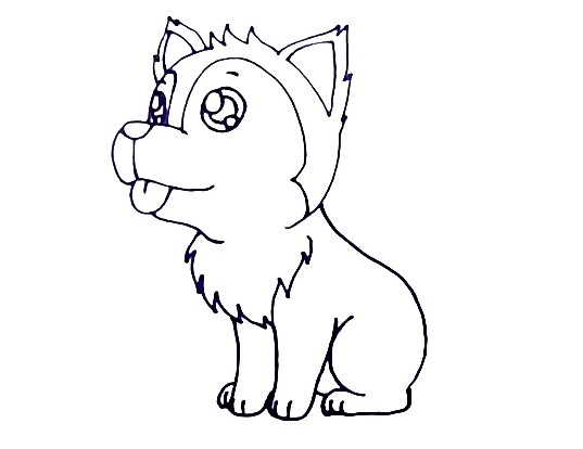 Husky-Drawing-4