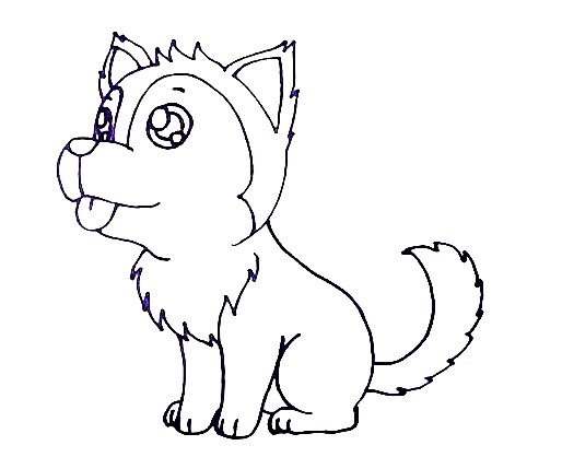 Husky-Drawing-5