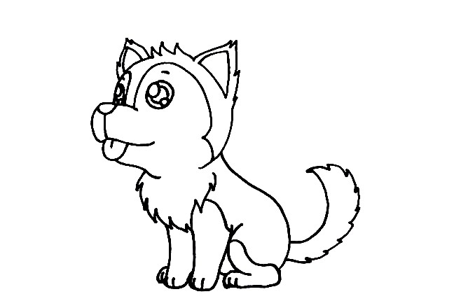 Husky-Drawing-6