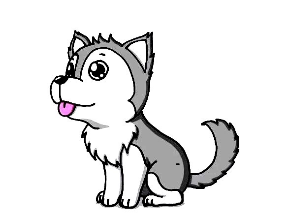 Husky-Drawing-7