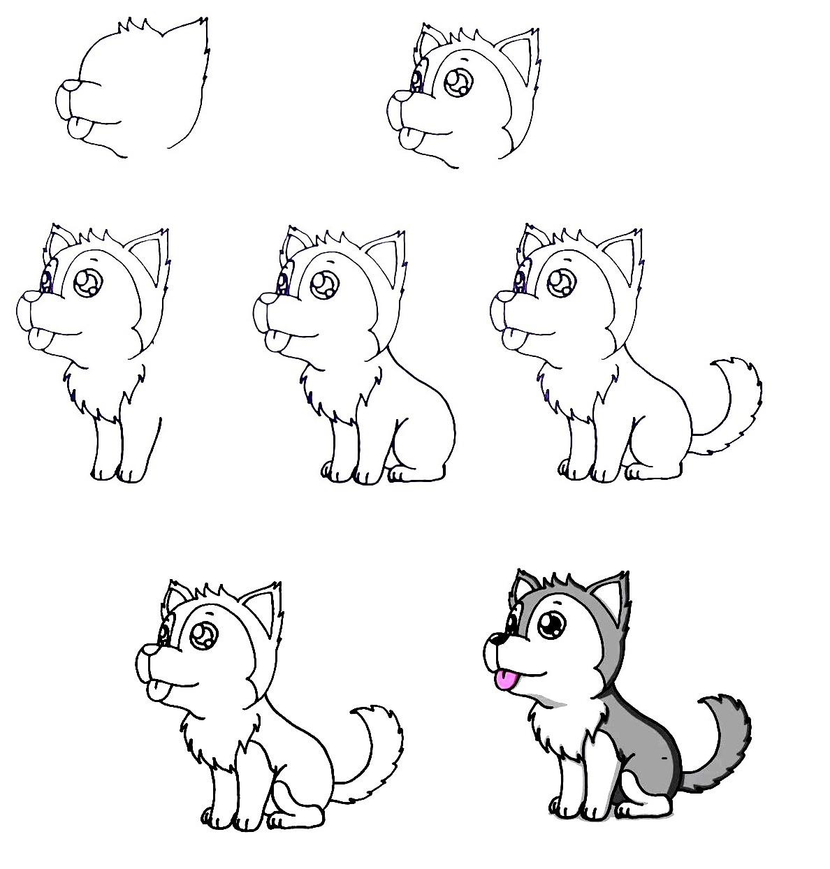 Husky-Drawing
