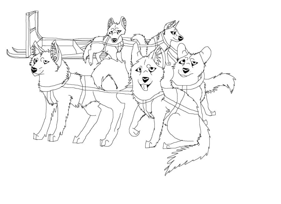 Husky In Harness Coloring Page