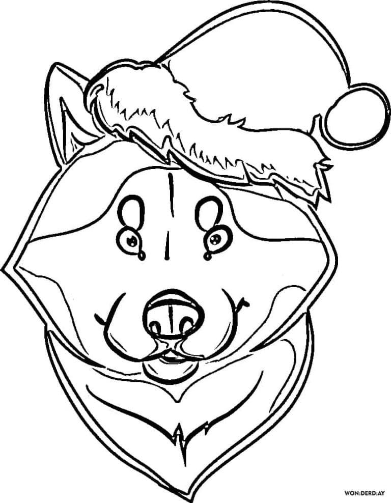 Husky In Santa Claus Christmas Hat Coloring Page