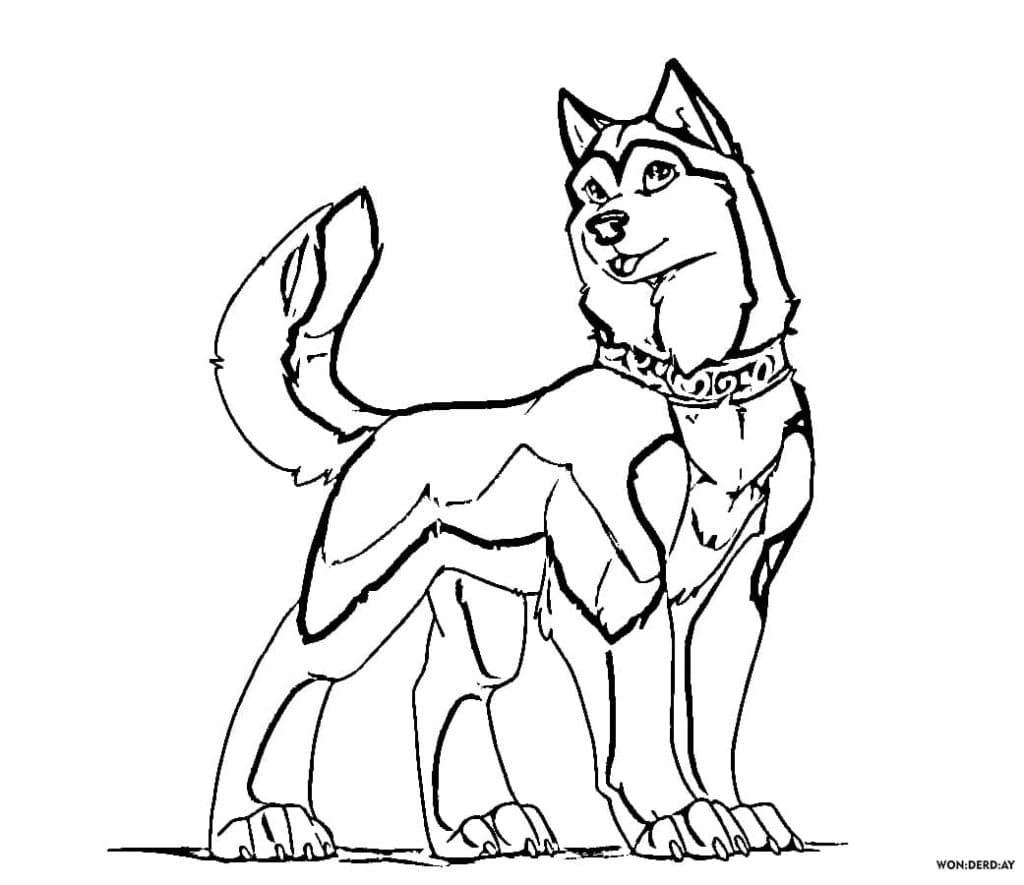 Husky Is A Rather Large Dog, With An Elongated Body And Well Developed Muscles Coloring Page