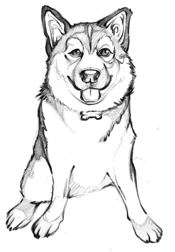 Husky Wants To Be Fed Coloring Page