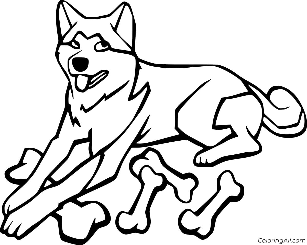 Husky and Bones Free Printable Coloring Page