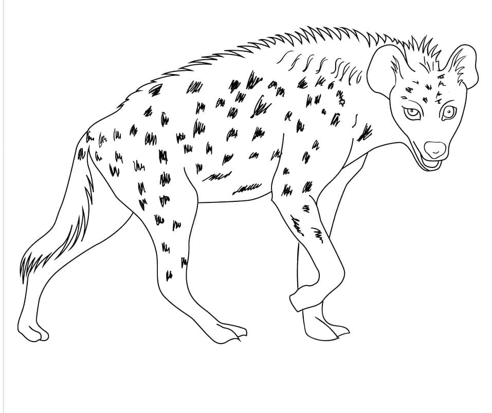 Hyena Free Printable Coloring Page