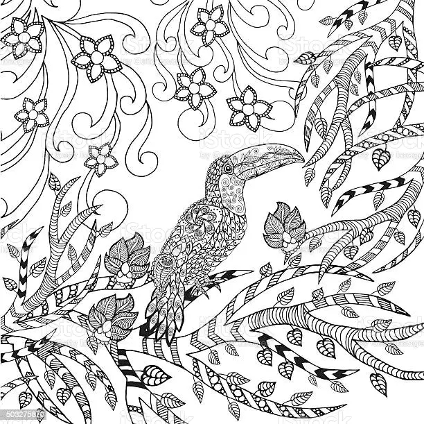 Image Toucan Free Printable Coloring Page