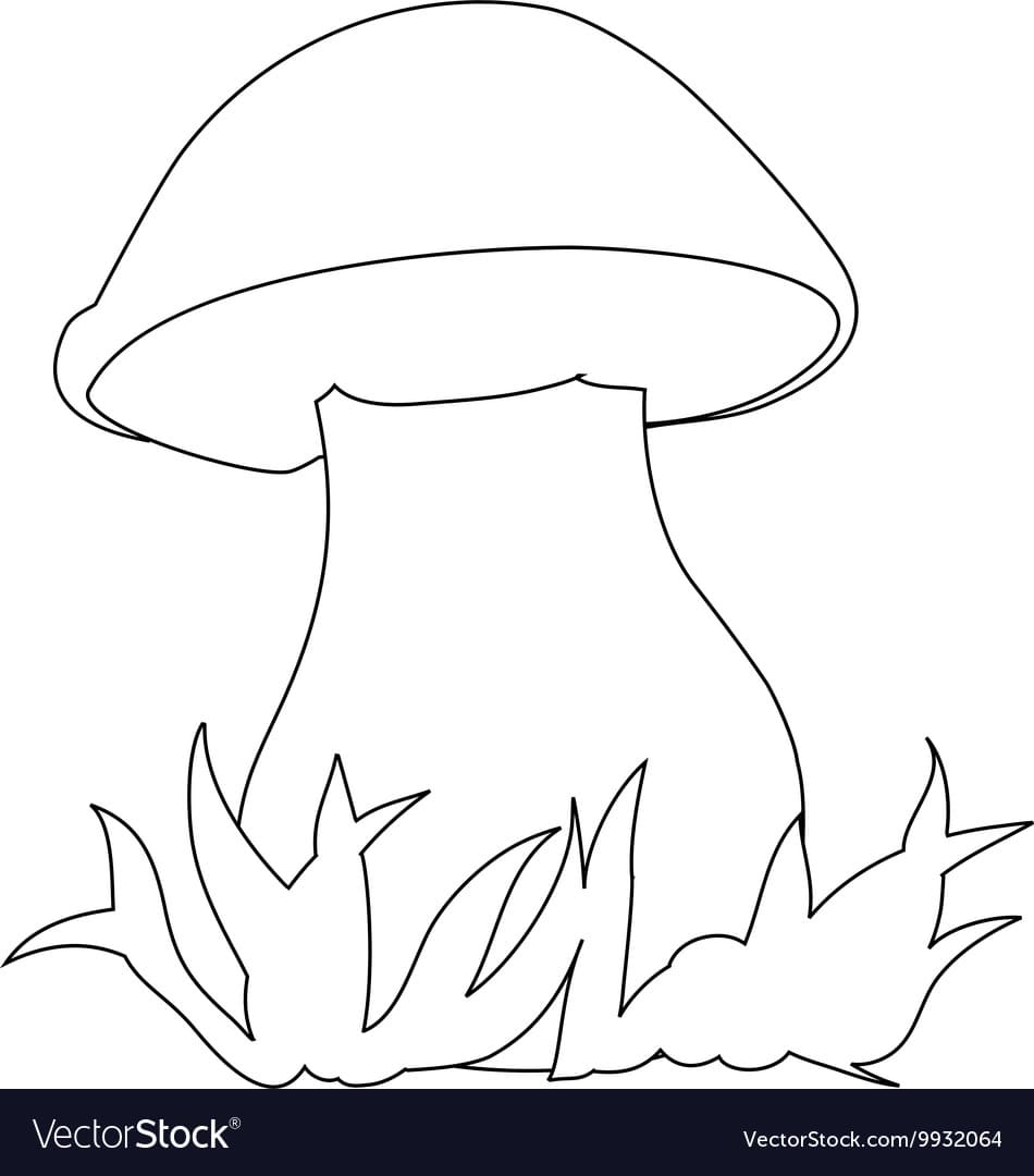 Image Of Porcini Can Be Used For Coloring Book Vector Image Coloring Page