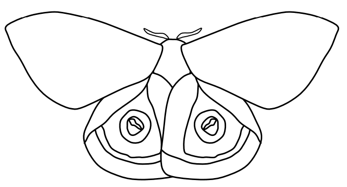Io Moth Free Printable Coloring Page