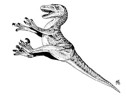 Jurassic Park Velociraptor Jumping Coloring Page