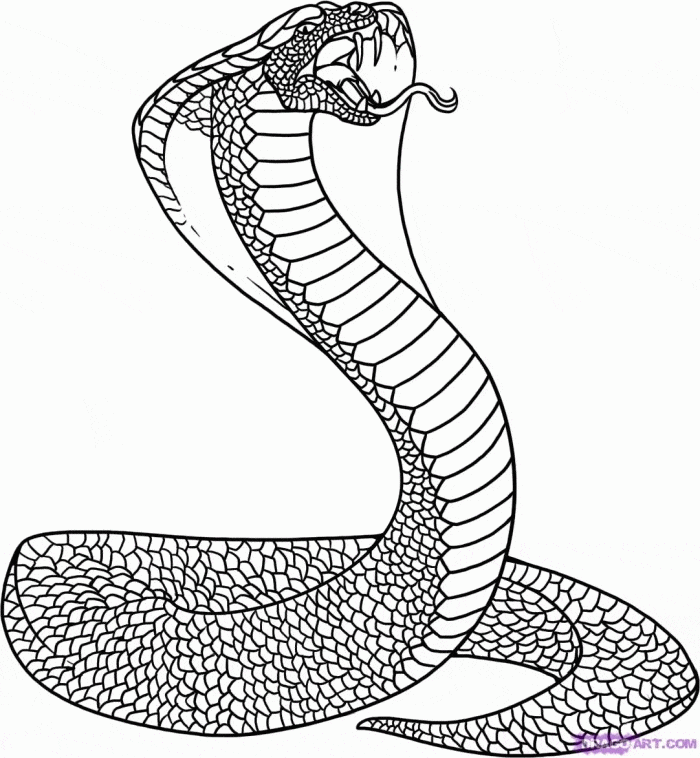 King Cobra Snake Free Printable