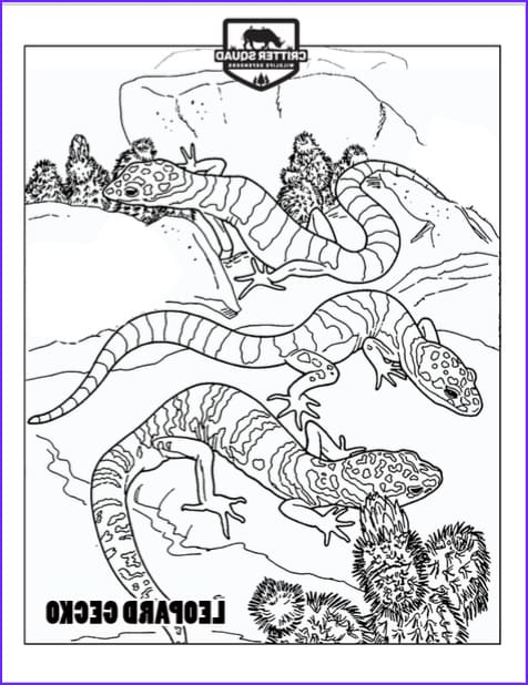 Leopard Gecko Coloring Coloring Page