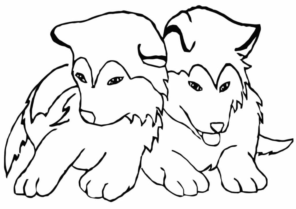 Little Husky To Print Coloring Page