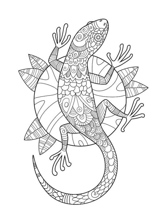 Lizard Coloring To Print Coloring Page