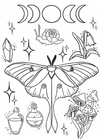 Luna Moth Free Printable Coloring Page