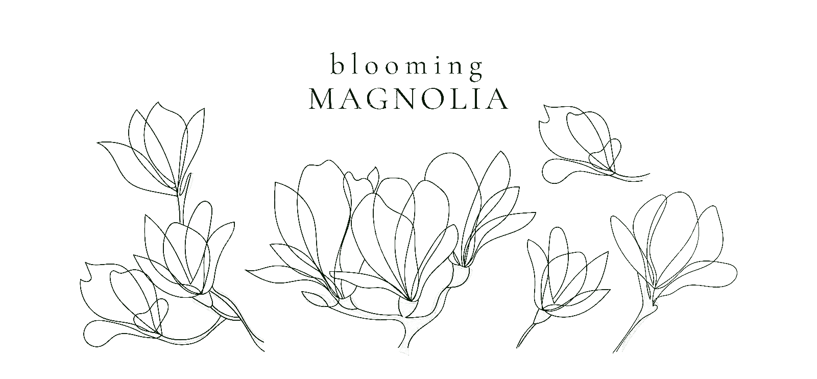 Magnolia Coloring