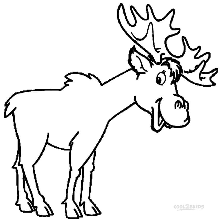 Moose Coloring Pages Free Coloring Page