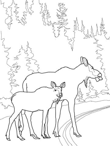 Moose Cow with Calf Crossing the Road Free Coloring Page