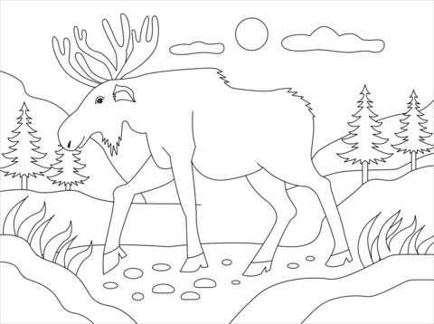 Moose Cute Free Coloring Page