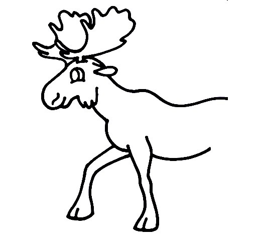 Moose-Drawing-3