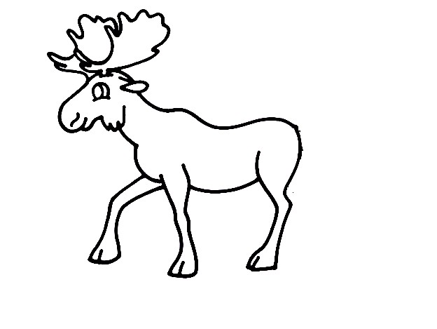 Moose-Drawing-4
