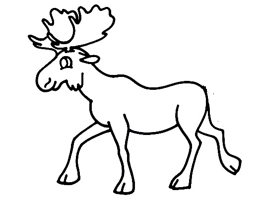 Moose-Drawing-5