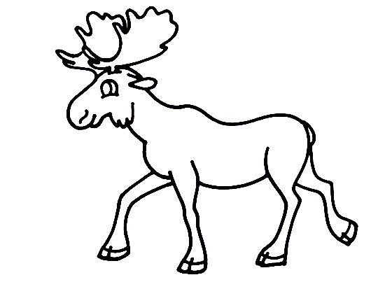 Moose-Drawing-6