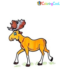How To Draw A Moose – 7 Simple Steps To Create A Cute Moose Drawing Coloring Page
