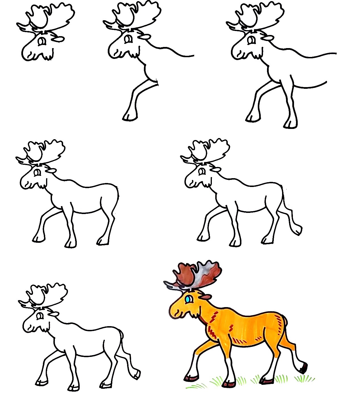 Moose-Drawing