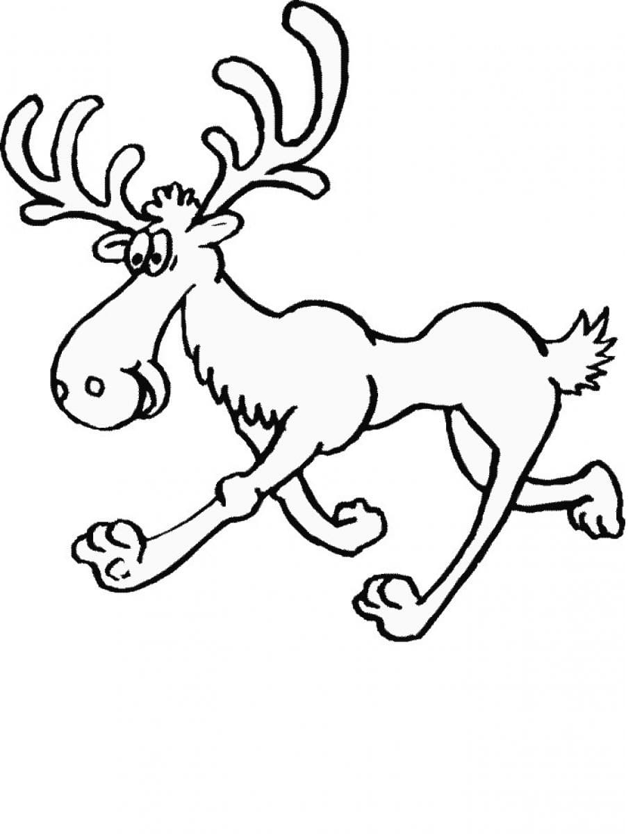 Moose Free Picture For Kids Coloring Page