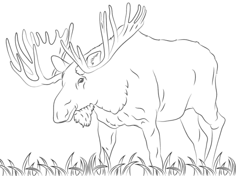Moose Image Printable