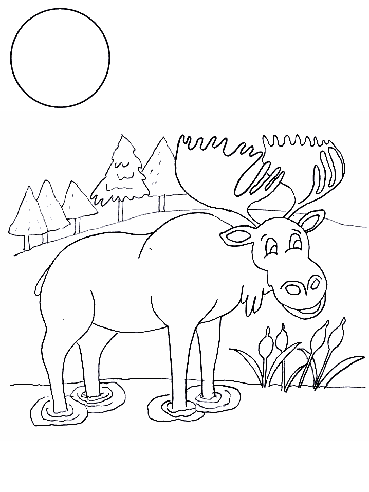 Moose In The Forest Free Printable Coloring Page