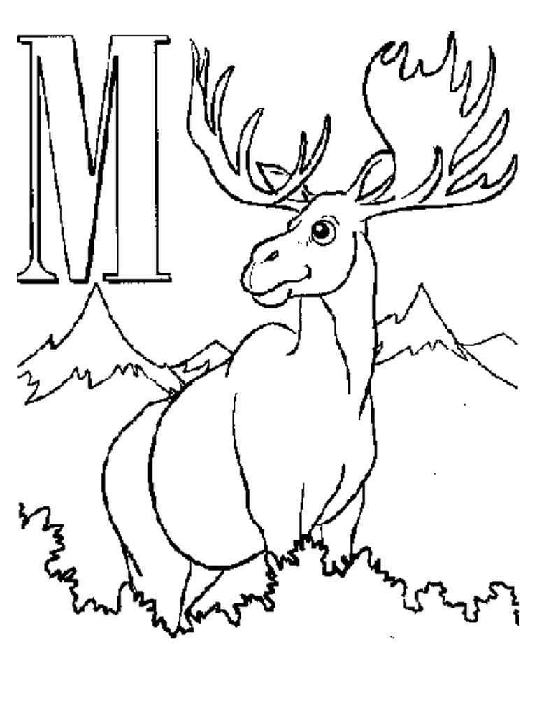 Moose Picture Free Coloring Page