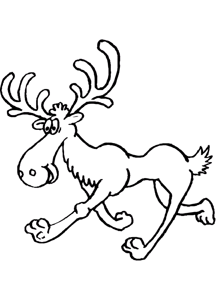 Moose Printable Coloring Page