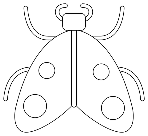 Moth Coloring Free Printable Coloring Page